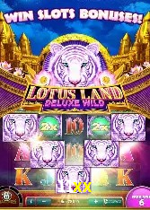 Casino Ao Vivo 11xx